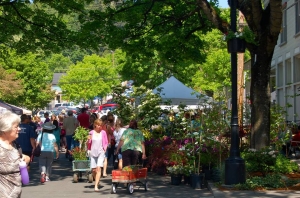 2021 Camas Plant and Garden Fair